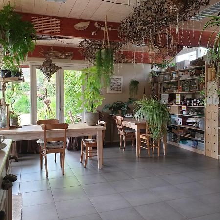 Appartementen Het Oude Atelier Schoorl Dış mekan fotoğraf