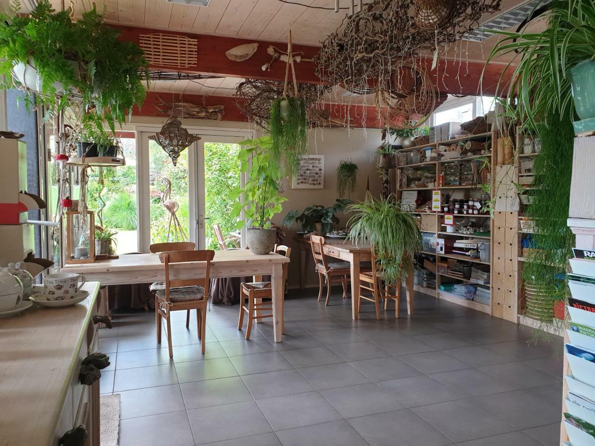 Appartementen Het Oude Atelier Schoorl Dış mekan fotoğraf